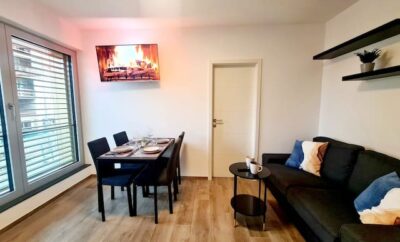 Luxury 1  bedroom with Parking – CD6