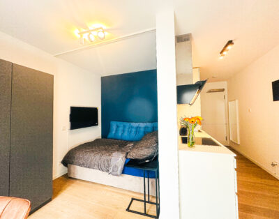 MIRO – Stilvoll & Kompakt: Trendige 1-Zimmer-Wohnung